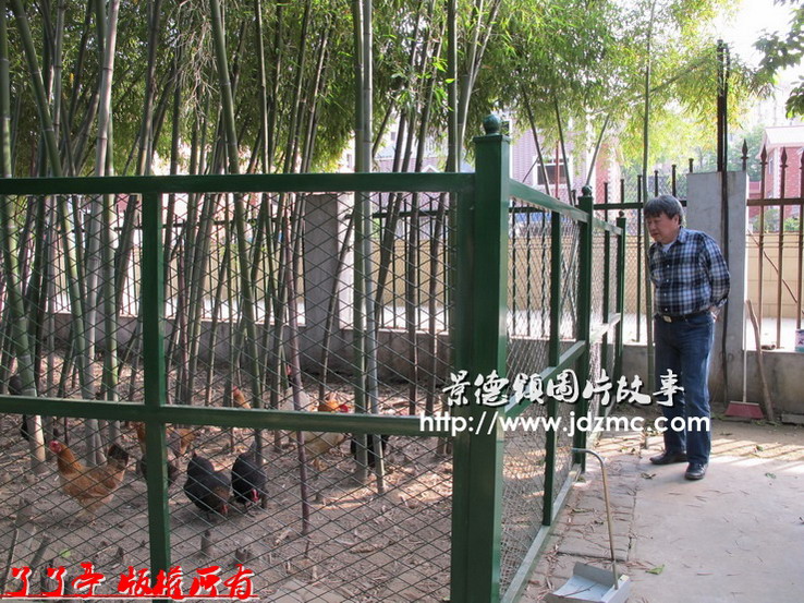 泥土与水墨，任君纵横-熊钢如