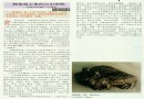 物象与心象的自由律动—周国桢陶艺作品赏析 95年资料
