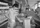 景德镇陶瓷行业经济振动的十年“化蝶”