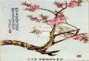 邹文侯 娇莺不语·粉彩瓷板画鉴定图录